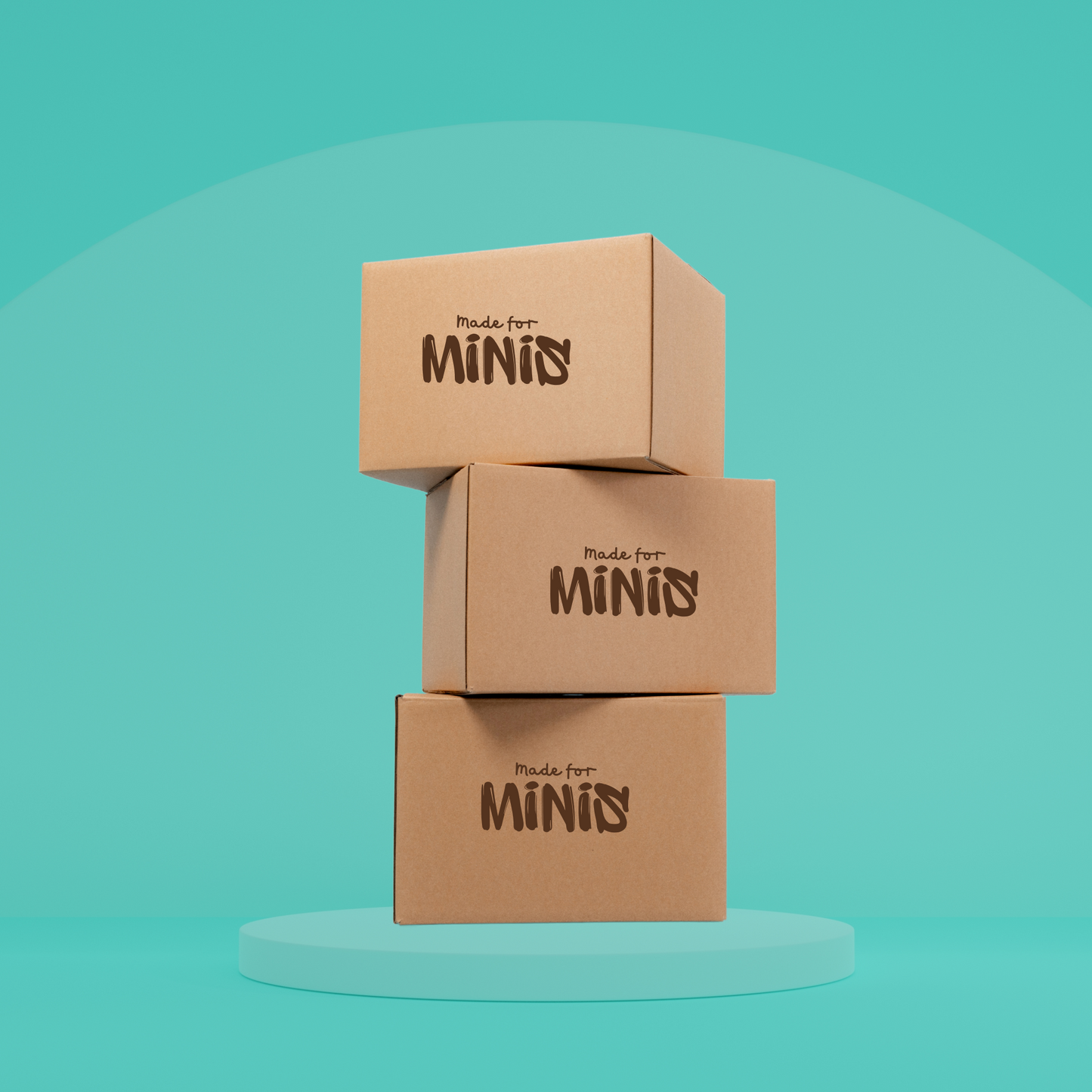 3-Month Subscription – Made for Minis